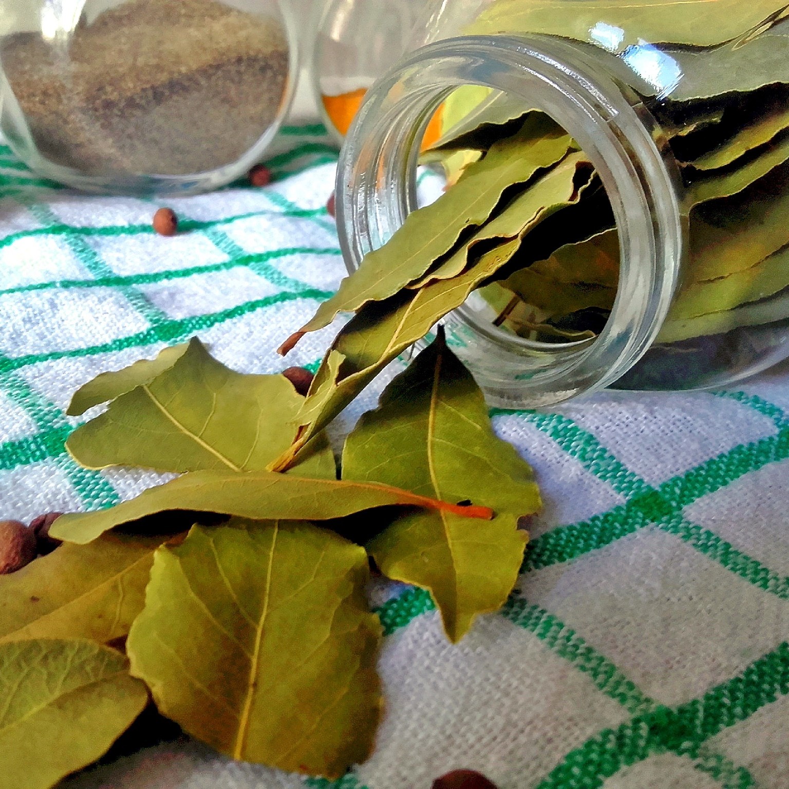 bay_leaves1