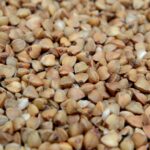 buckwheat
