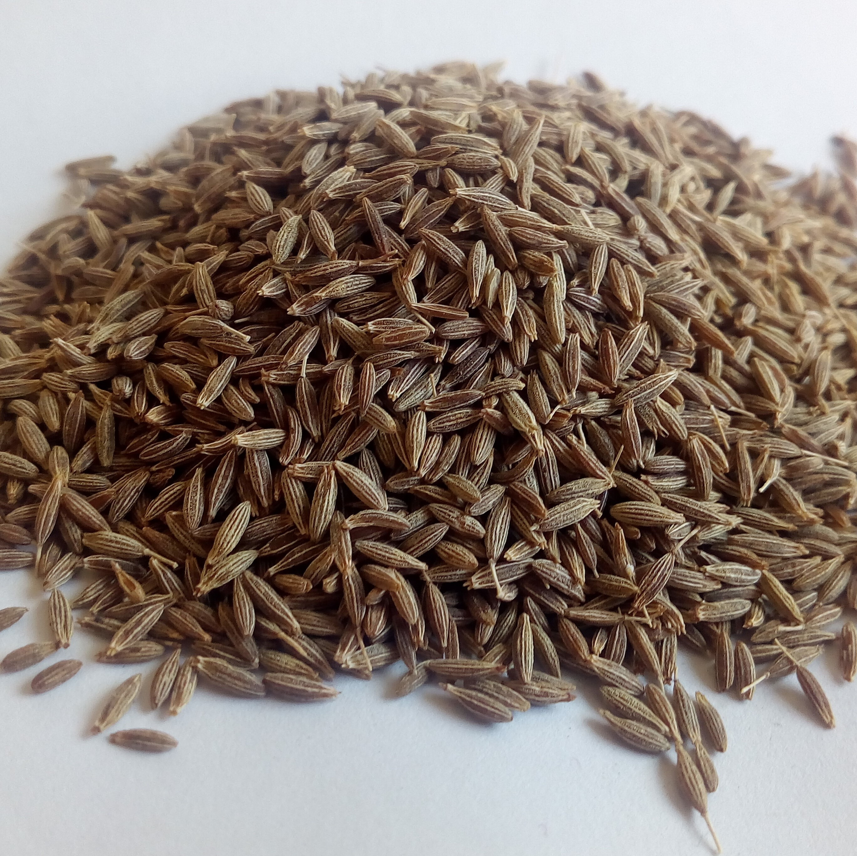 cumin