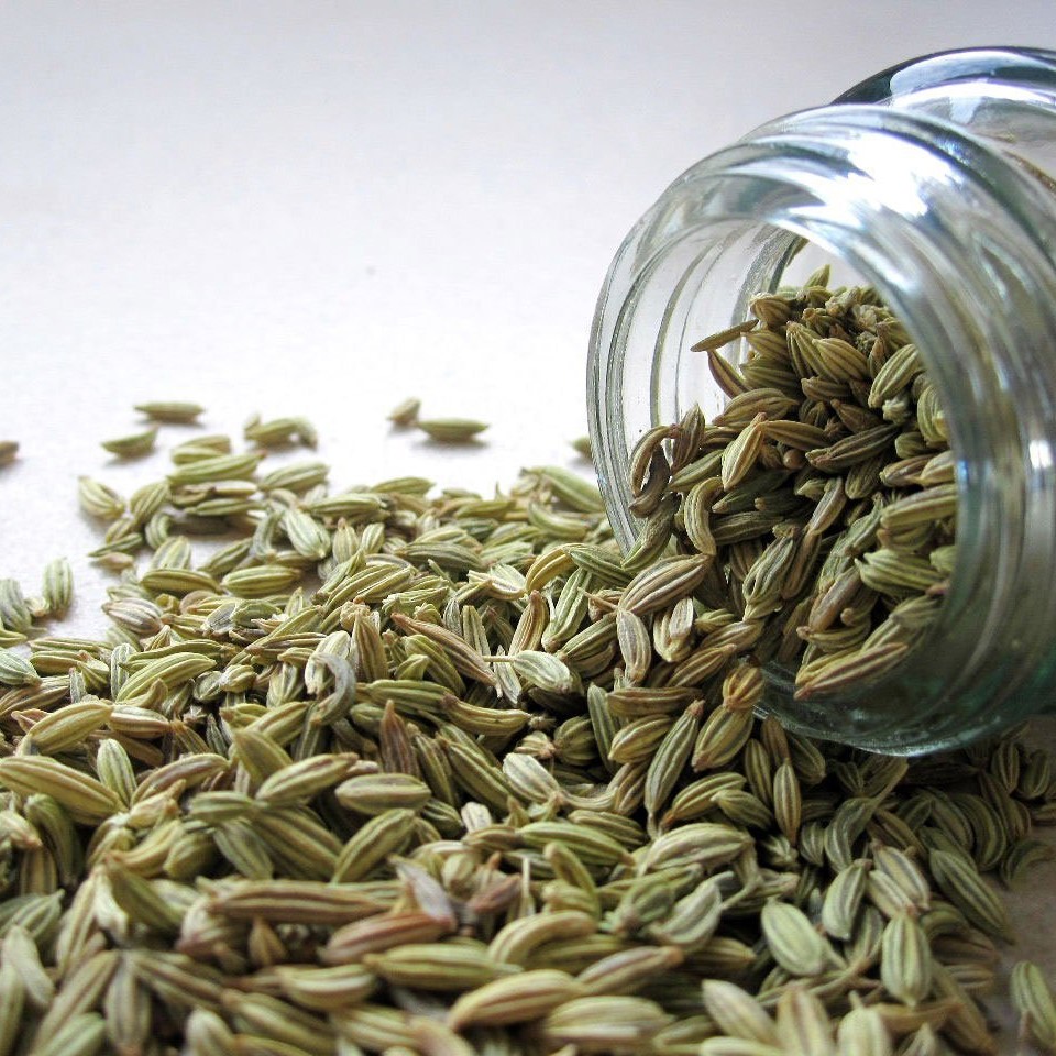 fennel_square fennel_square
