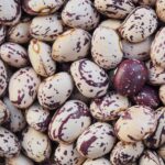 pinto_beans