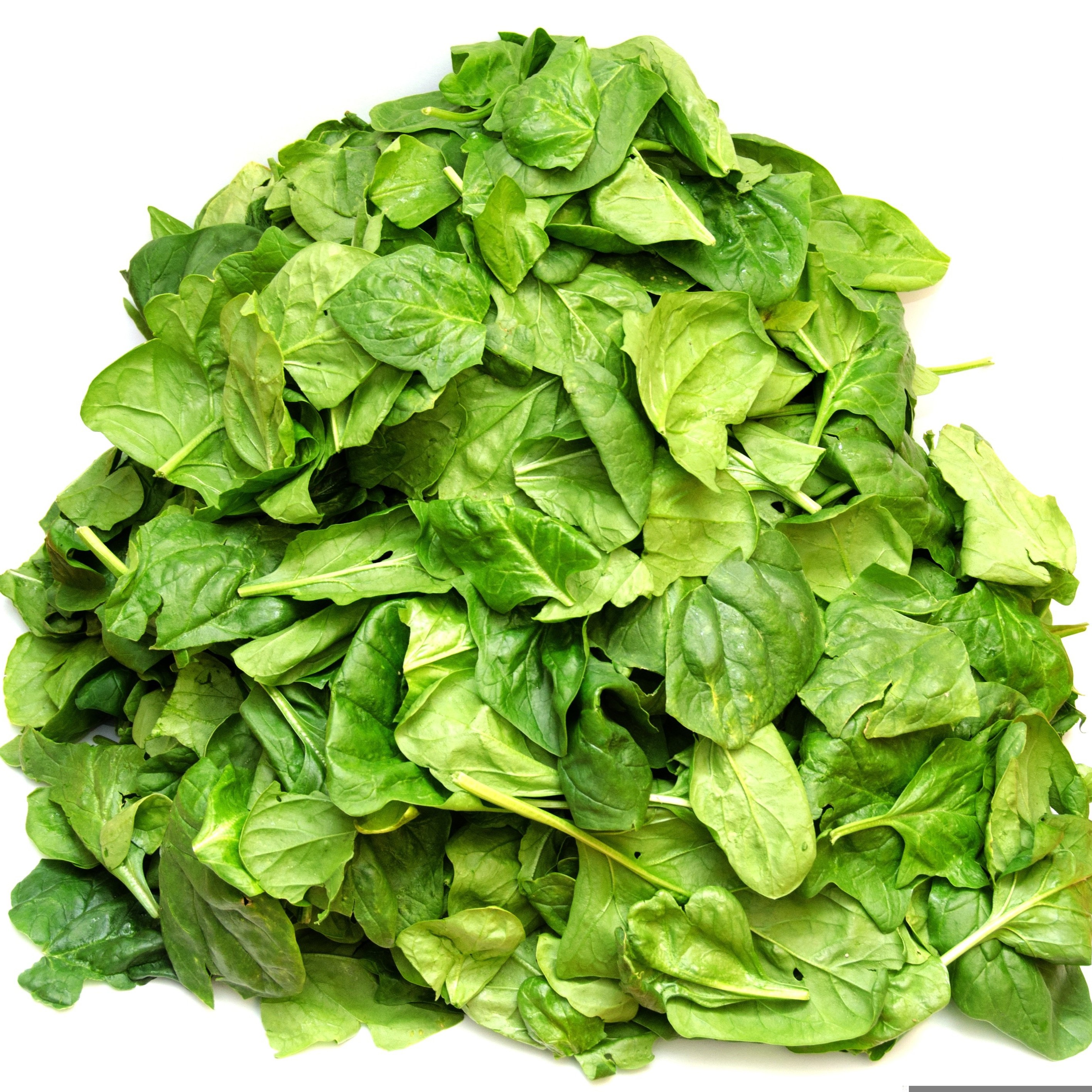 spinach-square